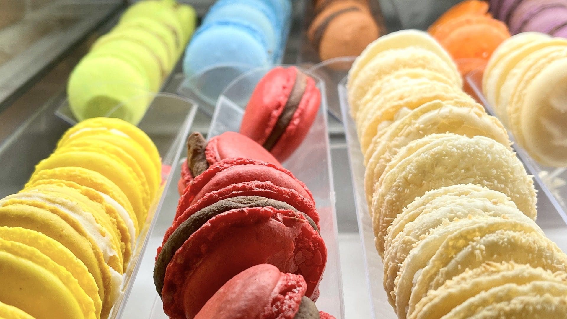 Beautiful macarons from Walk With Us Tours in Berlin Germany street food tour